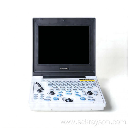 Laptop ultrasound For Persian Cat Pregnancy